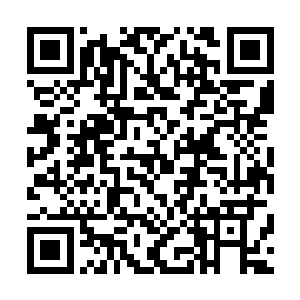 #本#来#他#还#期#待#那#个#范#泾#能#够#有#所#表#现#二维码生成
