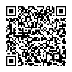 ^那个原本和岳京生得一模一样的元婴竟然在头上慢慢地生出了两只角二维码生成