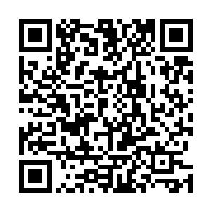 ――你当晚的表现出乎意料地让切萨雷被挽回了不少人气二维码生成