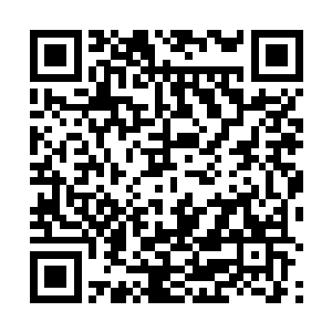 ――因被流放者共累计得到千名以上人类的忠心和信仰二维码生成