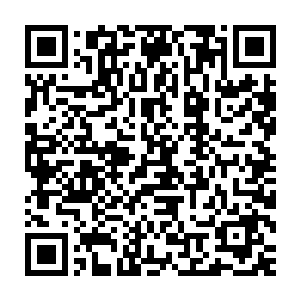 ――完全忘了麻仓好出现时是坐着红色大怪兽的妮娜信誓旦旦地想着二维码生成