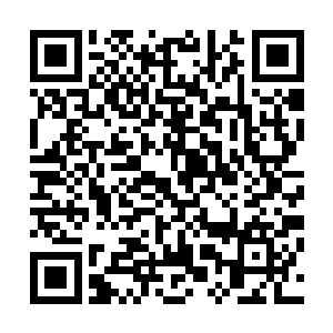――就连以庶出身份登基的皇子都不敢对嫡出的长公主不敬二维码生成