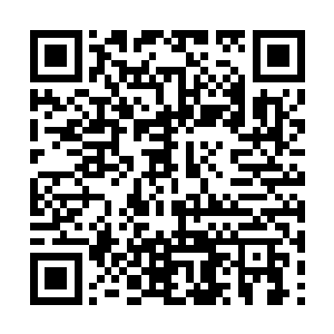 …………………今天继续四更………………………二维码生成