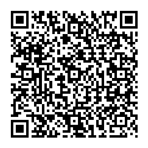 ………十四大通过的党章规定――民主集中制是民主基础上的集中和集中指导下的民主相结合二维码生成