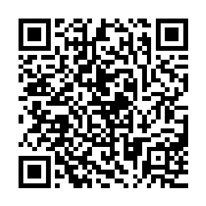 ……不……我已经不是人类了……人类……哈哈……人类……二维码生成
