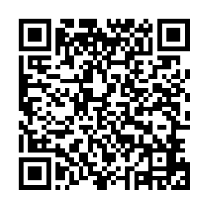 ……众多帝国国主和圣域守护者都没想到会发生这样的一幕二维码生成