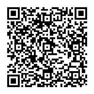 ……只能执行少数服从多数的原则………班长个人无权违背多数人的意见自行决定二维码生成