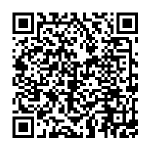 ……各位官爷……真是料事如神……确实有人来当祖母绿宝石……对对二维码生成