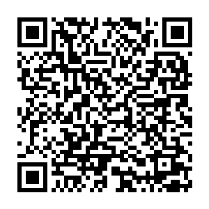……啪~~一只白皙的手掌在李明俊那张俊俏的脸庞之上狠狠地抽了一下二维码生成