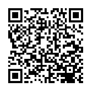 ……天寒岁暮归何处……涌血成诗喷土墙……喷土墙……二维码生成