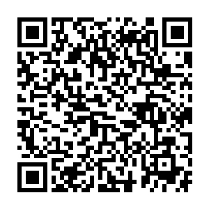 ……并解答堡主大人关于黑铁之堡与曼殊沙华因缘万果宝树的任何疑问二维码生成