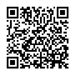 ……我……我不想死……我想活下去……过无忧无虑的生活……二维码生成