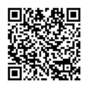 ……我的同学都说你喜欢我……但是吴怡说你不会娶我二维码生成