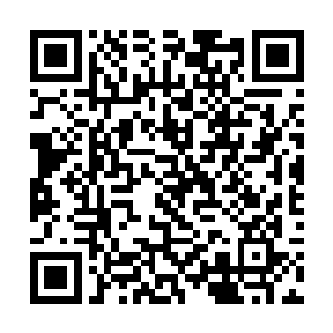 ……这个世界还处在从原始到现代文明的漫长过渡中二维码生成