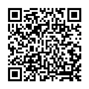 ……那个实习生可是他们学院连续好几届的格斗冠军来着……二维码生成