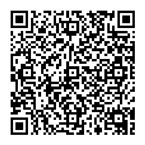 …原来你…是…修真者…呵呵…在这个……异能当道的…世界里…你知道你的…下场会…是什么…吗……二维码生成