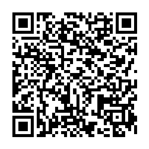萨摩拉很快就找到了当初一起跟随荣耀至死公路巡演的一部分小伙伴二维码生成