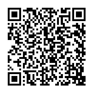 　众人只觉开了眼界　回味无穷　像是看着一个可镇压万古的绝顶大能的诞生二维码生成