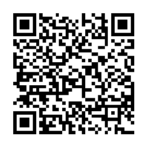 一……些……混……血……蜥……蜴……而……已……二维码生成