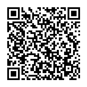 一下就将十几头围攻吞天蟒和血煞麒麟的妖兽和特殊妖兽注意力吸引二维码生成