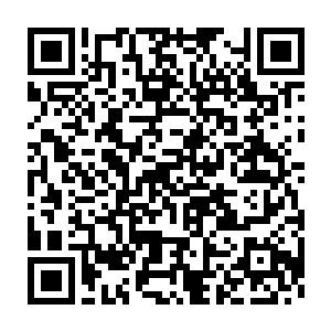 一丝丝百万妖族精血凝聚而成的血煞丹涌入了许琴扬和淡月舞的身体二维码生成