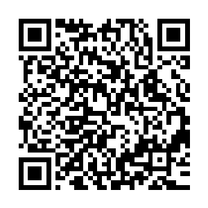 一个不起眼的细节变化真的是如同蝴蝶翅膀一样会引起连带效应二维码生成