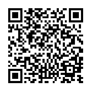 一个个可堪比原始森林一样的巨大森林就这么突兀的出现了二维码生成