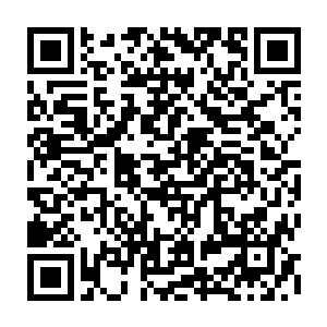 一个个在平时就凶狠异常的亡命之徒带着鲜血与伤势被那刺客砍开或撞开二维码生成