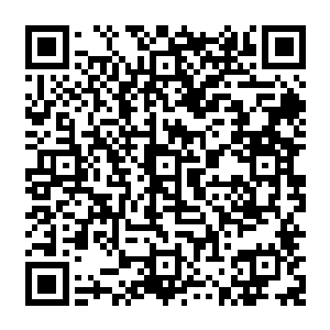 一个个快速的灌下或者吞下那可以在这种时候让他们战力大增的珍稀药剂或者丹药……二维码生成