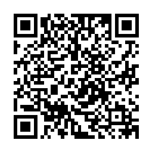 一个也就是刚刚满周岁的小家伙正从一个翻倒的婴儿车里爬出来二维码生成