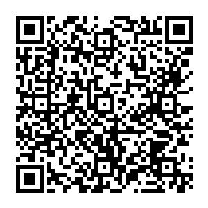 一个从来没有听说过的怀远郡金海城中的一家金乌商行居然会掌握着炙手可热的全效药剂二维码生成