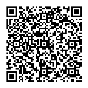 一个劲爆的消息就传到了广南王的书房之内有人已经在南疆的元极山地区现了大荒门的洞天和一座时间之塔二维码生成