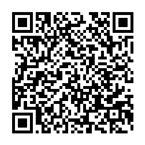 一个受伤无法使用灵气的一阶武宗居然击败了一个力量满满的九阶武宗二维码生成