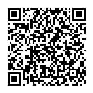 一个可以直接将法则之力给灌注到其他人体内早就太上境强者的存在二维码生成