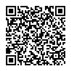 一个和她装扮一模一样的女人也在听到墙壁熟悉的响动时便离开了座位二维码生成