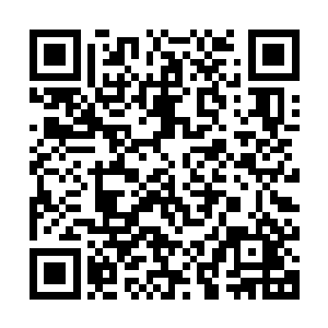 一个在他们眼中蝼蚁一样的存在竟然真的从花无千的手上逃掉了二维码生成