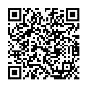 一个大活人怎么可能会在他的眼皮底下活生生的消失了二维码生成