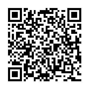 一个天仙初期和一个地仙后期巅峰的修士确实没有什么好主意的二维码生成