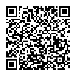 一个学校的推荐名额不会比让阿比安大师知道你的名字更有价值……二维码生成