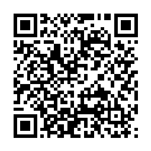 一个崭新的ゑ强大的林可儿会再次出现在你的面前二维码生成