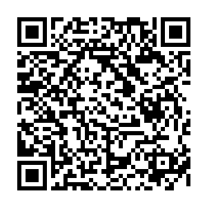 一个年轻的道士在前任国教学院商行舟以及陈家王爷还有无数大臣们的陪伴下二维码生成