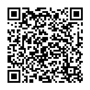 一个念头就象雨后的春笋以无法阻挡的姿态从坚硬的土壤里钻出来二维码生成