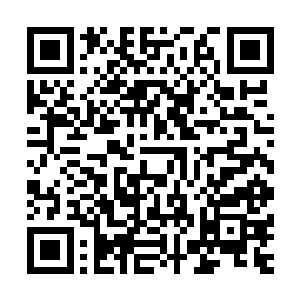 一个投票就意味着系统会自动从人们的账户上扣除一块钱……二维码生成