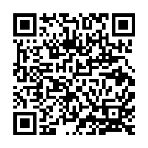 一个无数的丈母娘只要你没有房子就不会让女儿嫁给你的时代二维码生成