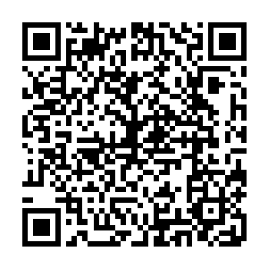 一个无赖――甚至不是强盗――正在利用她自己的良知和社会规则的漏洞二维码生成