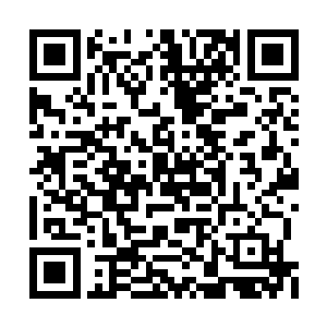 一个是刚刚晋升为十大宗门之首星罗门的副宗主二维码生成