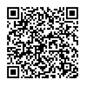 一个暗恋着黛娜老师却连当面直视她的勇气都没有的惨绿少年而已二维码生成