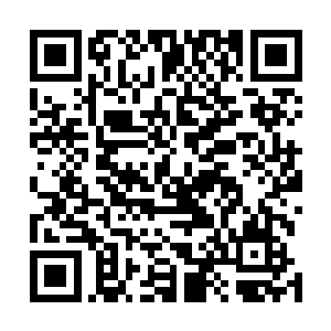 一个最神秘最强大的存在现在毫无反抗的摆在他们的面前二维码生成