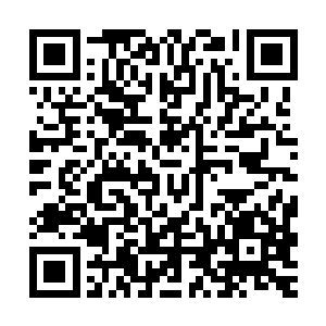 一个残疾人会和陆朝歌有着如此的深仇大恨非要开车把人给撞死二维码生成