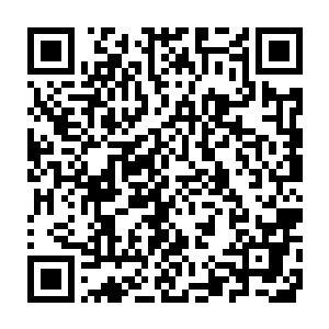 一个民族的文化底蕴就硬生生的被野蛮与暴力给侵占并破坏得一干二净二维码生成